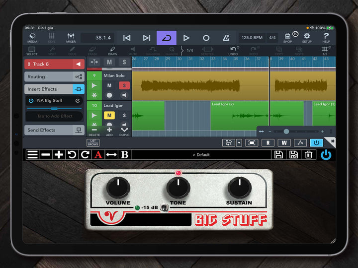 Big Stuff Harmonic Distortion-Sustain – Nembrini Audio