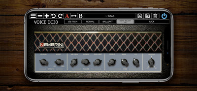 Voice DC30 Custom Valve Guitar Amplifier