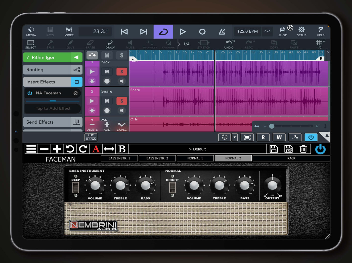 Faceman 2-Channel Head Guitar Amplifier