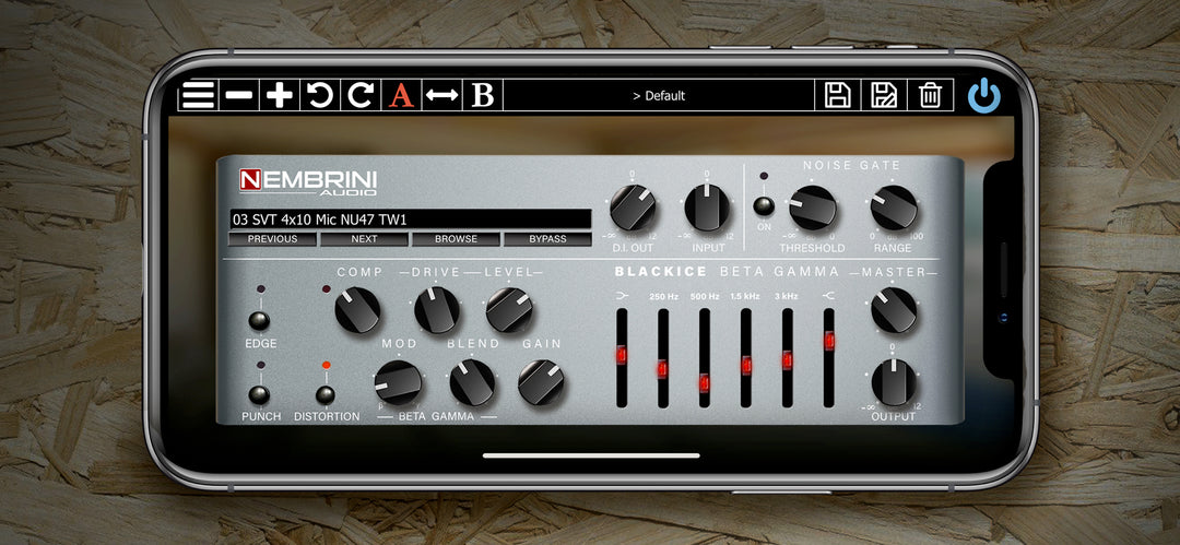Blackice Beta Gamma Bass Amplifier – Nembrini Audio