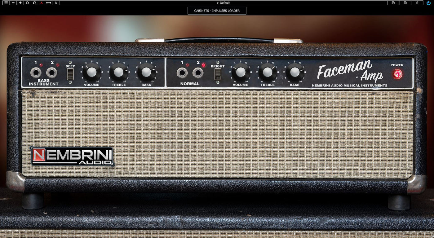 Faceman 2-Channel Head Guitar Amplifier – Nembrini Audio