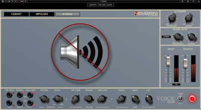 Voice DC30 Custom Valve Guitar Amplifier