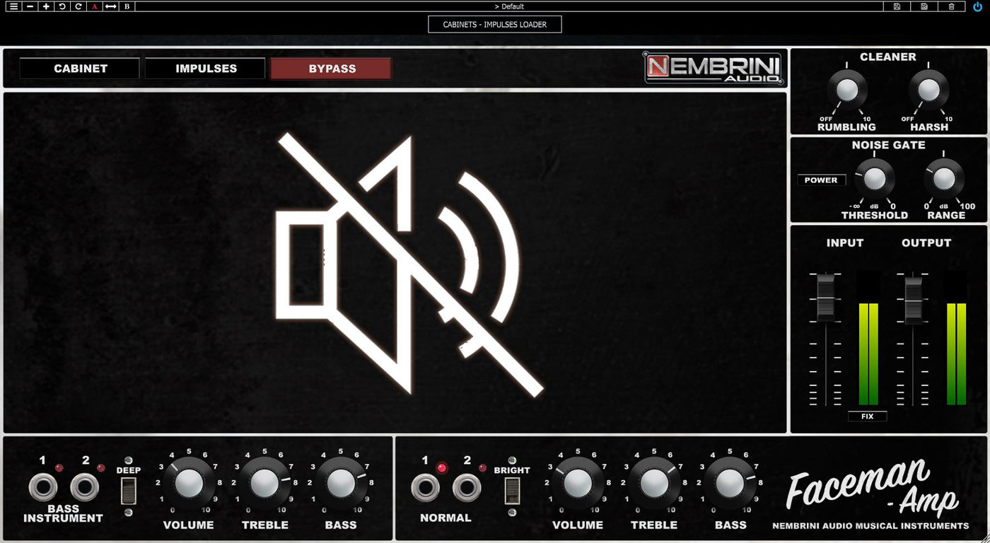 Faceman 2-Channel Head Guitar Amplifier