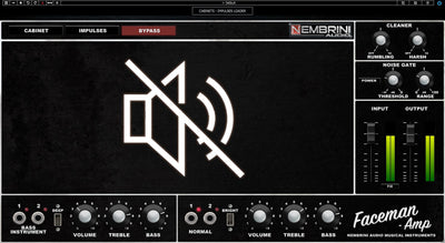 Faceman 2-Channel Head Guitar Amplifier