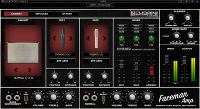 Faceman 2-Channel Head Guitar Amplifier