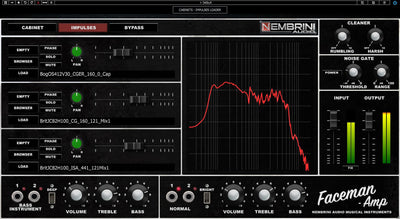 Faceman 2-Channel Head Guitar Amplifier